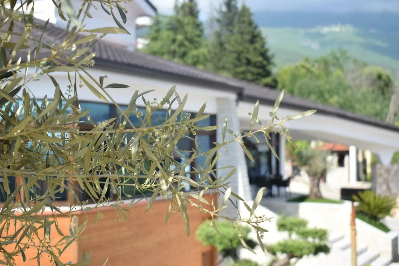 Hotel Chateau Linza Resort Tirana