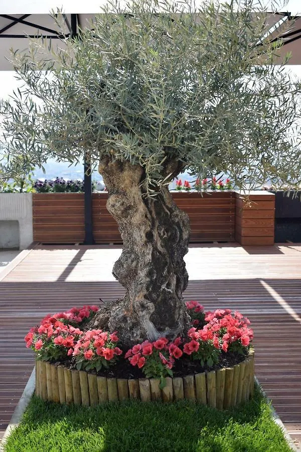 Chateau Linza Resort Tirana